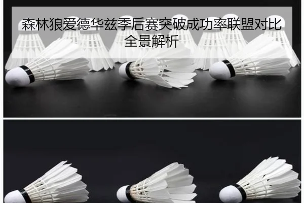 森林狼爱德华兹季后赛突破成功率联盟对比全景解析