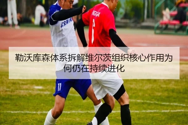 勒沃库森体系拆解维尔茨组织核心作用为何仍在持续进化